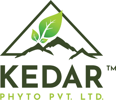 Logo of the client